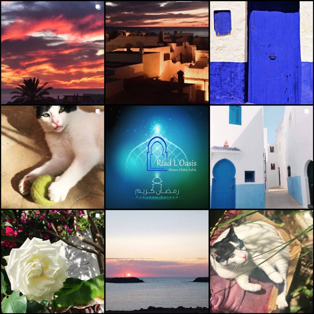 Social-media-management-feed-portfolio-riad-oasis-asilah-Overall-data-driven-marketing-agency