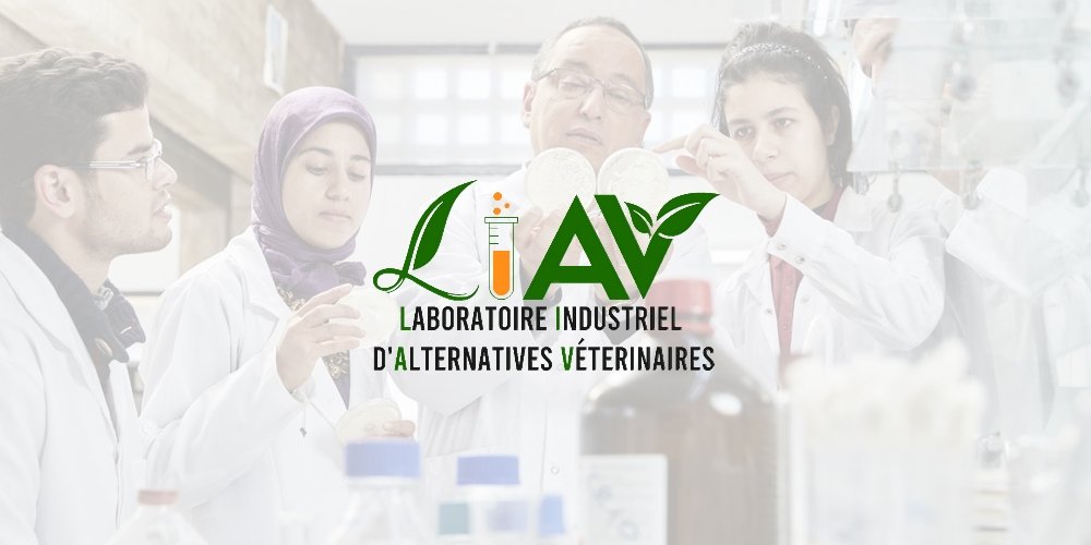 مشروع تطوير الهوية البصرية لمختبر LIAV