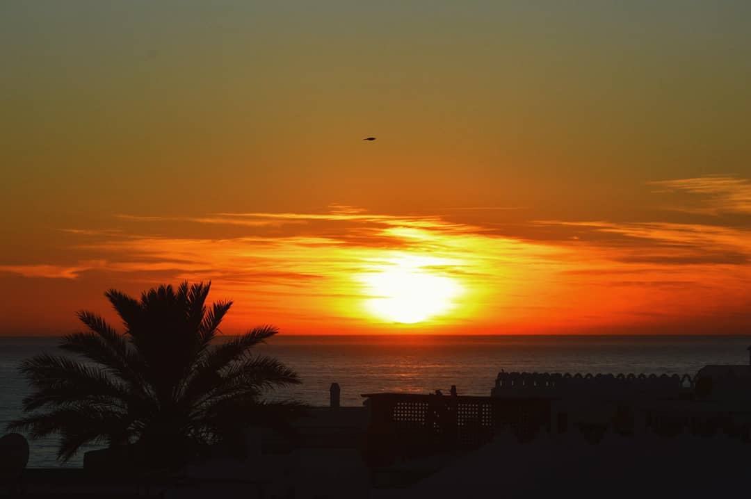 Riad oasis asilah - ODDM Agency I Social media management I photography sunset